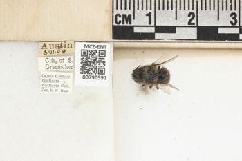 Media type: image;   Entomology 790591 Aspect: Labels
